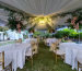 Meraki Canopy